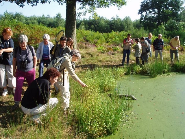 2007 08 Bois de Rochefort 28